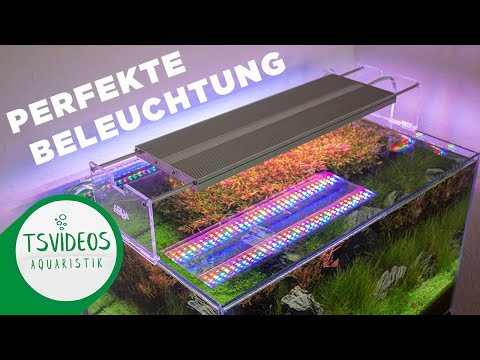 Video: Welche Farbtemperatur hat Bluelight?