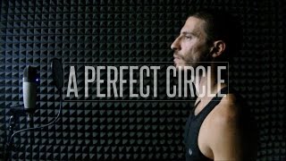 A Perfect Circle - 3 Libras (vocal cover w/ lyrics)