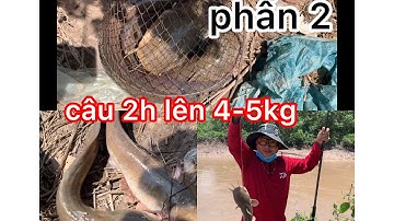 cá ngát ăn nước rồng phần 2,câu 2h mà lên 4-5kg cá!!