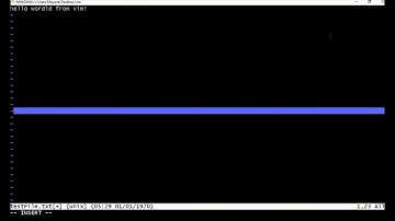 Mastering Vim Editor: Effortless Exit and Advanced Usage [Video Tutorial]