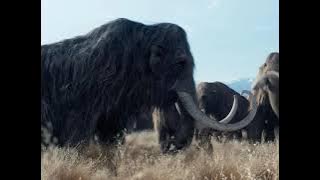 Woolly Mammoth (10,000 BC)