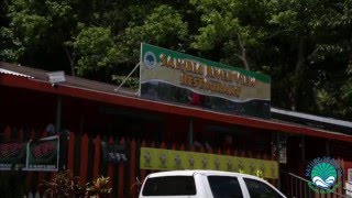Nature Seekers Organisation