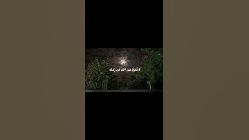 آخر سورة البقرة بصوت الشيخ مشاري بن راشد العفاسي ❤❤