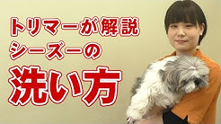 愛犬が大好き 帝塚山ハウンドカム Houndcom公式