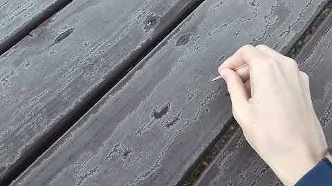 writing CBA daily 186: morninglight