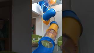 359547718 7124041867611648 6557763841687044888 n