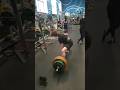 становая тяга путь к 200кг road to 200kg deadlift