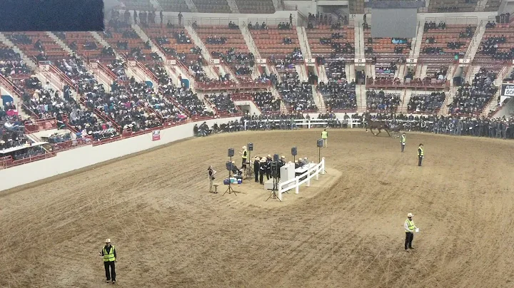 Lyle Chupp Harrisburg horse sale 2019