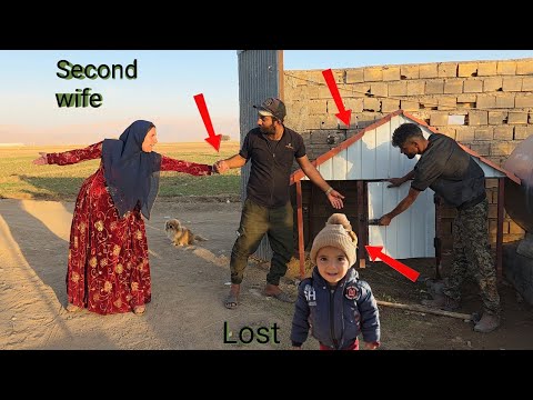 Dog Habitat From Design To Implementation And The Challenges Ahead