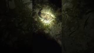 Sungguh Sangat Besar