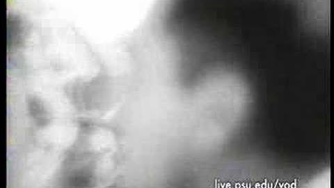 Struggle for PSU - Trailer