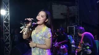 DIBOHONGI - ERIKA SYAULINA - GOFAR MANDOLIN LIVE