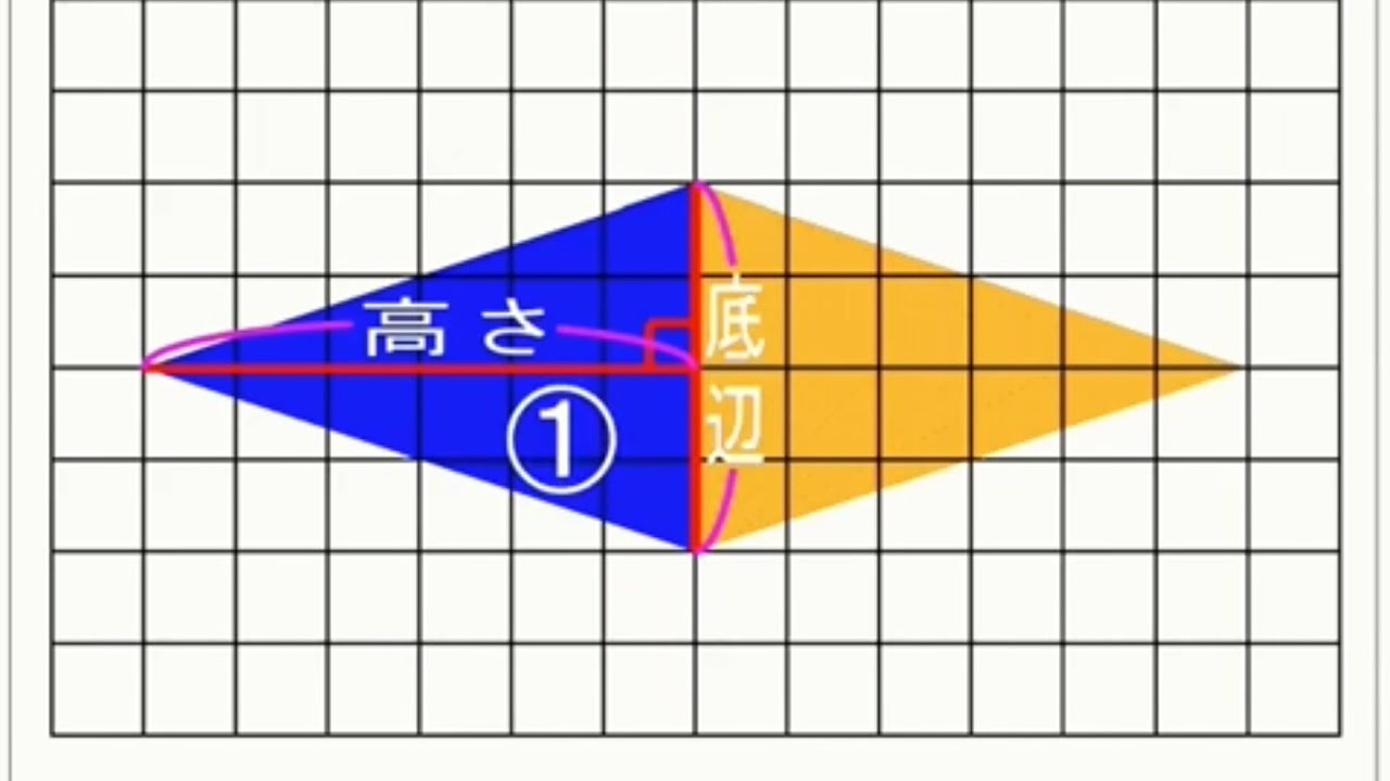 小学校５年生 対角線を使ったひし形の面積の求め方 Youtube