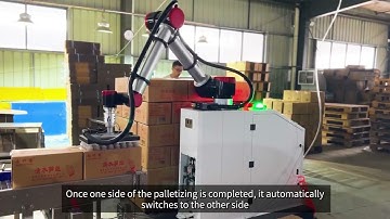 Palletizing of bagged food boxes