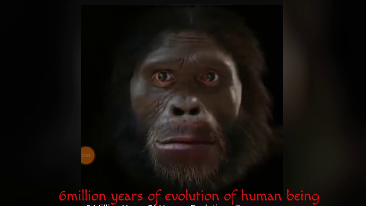 6 million years of evolution of human being - YouTube