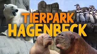 Tierpark Hagenbeck in Hamburg | Zoo-Eindruck