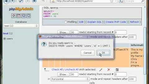 phpMyAdmin - Basics Tutorial