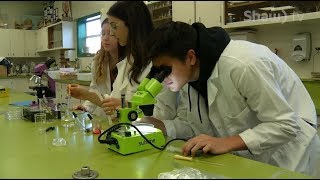 Students’ Experiment Going to Outer Space (Where You Live)