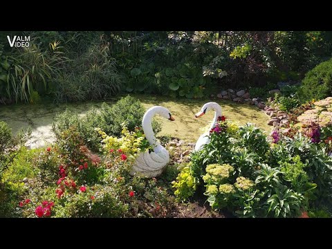 Video: Gėlių Sodas Namuose