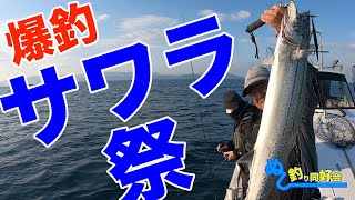 【爆釣】釣りまくり！舞鶴湾サワラ祭【毎年恒例】