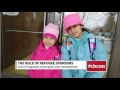 Why we share our experience with the public
