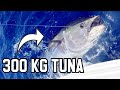 300 kg MONSTER!! Thunfischangeln in Spanien