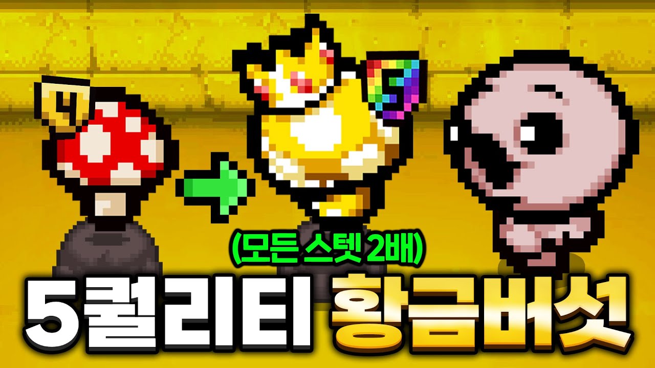 모든 능력치 2배로 올라가는 5퀄리티 황금버섯