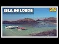 ¿Qué ver 1 día en Isla de Lobos y Playa la Concha? | Fuerteventura | Islas Canarias 18# | España