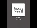 Saucy Dog 君ト餃子