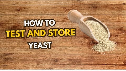 How to test and store yeast
