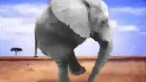 Retarded Running Animals