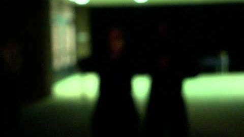 Wmu Phi chapter Sigma Lambda Gamma upsilon Line