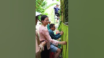 Dựng cổng cưới bằng cây chuối, lá dừa, tái hiện lại cổng cưới kiểu xưa, mọi người cùng làm với Út!