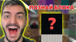 :    Minecraft