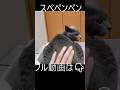 ペンペンソングでお尻ペンペン