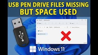 USB Pen Drive Files Missing But Space Used in Windows 11