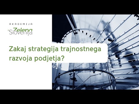 Video: Kaj Sestavlja Razvojno Strategijo Podjetja