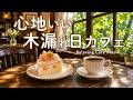途中広告なし【カフェBGM】心地いい木漏れ日カフェ｜緑に包まれて聴く癒しの音楽｜作業用・読書・リラックス