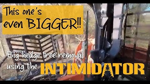 Customer Video - Skid-Co uses the Danuser Intimidator pulling big hedge tree