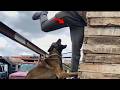 TRY NOT TO LAUGH CHALLENGE 😂 Very Funny Video Compilation 2026!