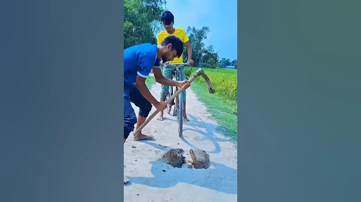 Look how the cake was cut with cow dung.😱👀 #foryou #funny #viral #fypシ