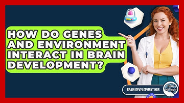 How Do Genes And Environment Interact In Brain Development? - Brain Development Hub