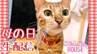 【生配信5/12】母の日にベルママにありがとうを伝える配信