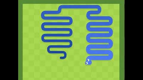 223 on snake game| High score