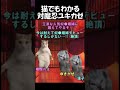 猫でも分かる対魔忍ユキカゼのストーリー #shorts #猫ミーム #対魔忍ユキカゼ