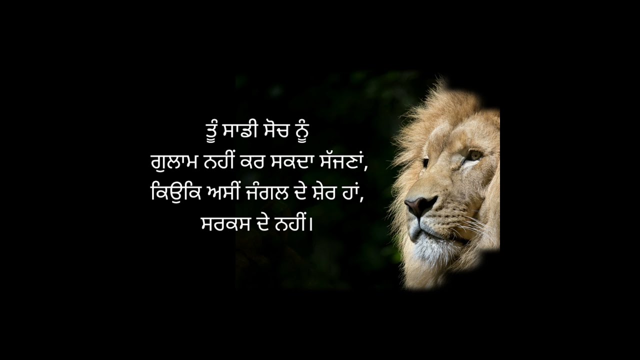 Motivation in Punjabi | Punjabi motivational video??!  #shorts