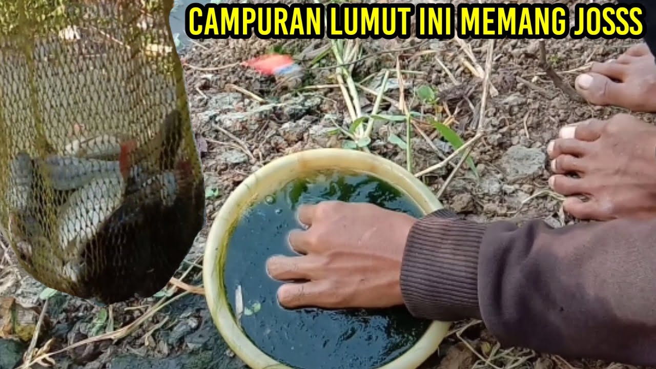 УСТОЙЧИВОСТЬ !!! ЕГО УПРАВЛЕНИЕ ПРОСТО НА ДОЛГОСРОЧНО, НО РЕЗУЛЬТАТЫ НЕОЖИДАЕМЫ