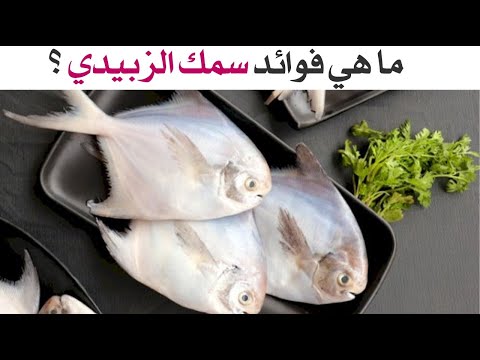 ما هي فوائد سمك الزبيدي
