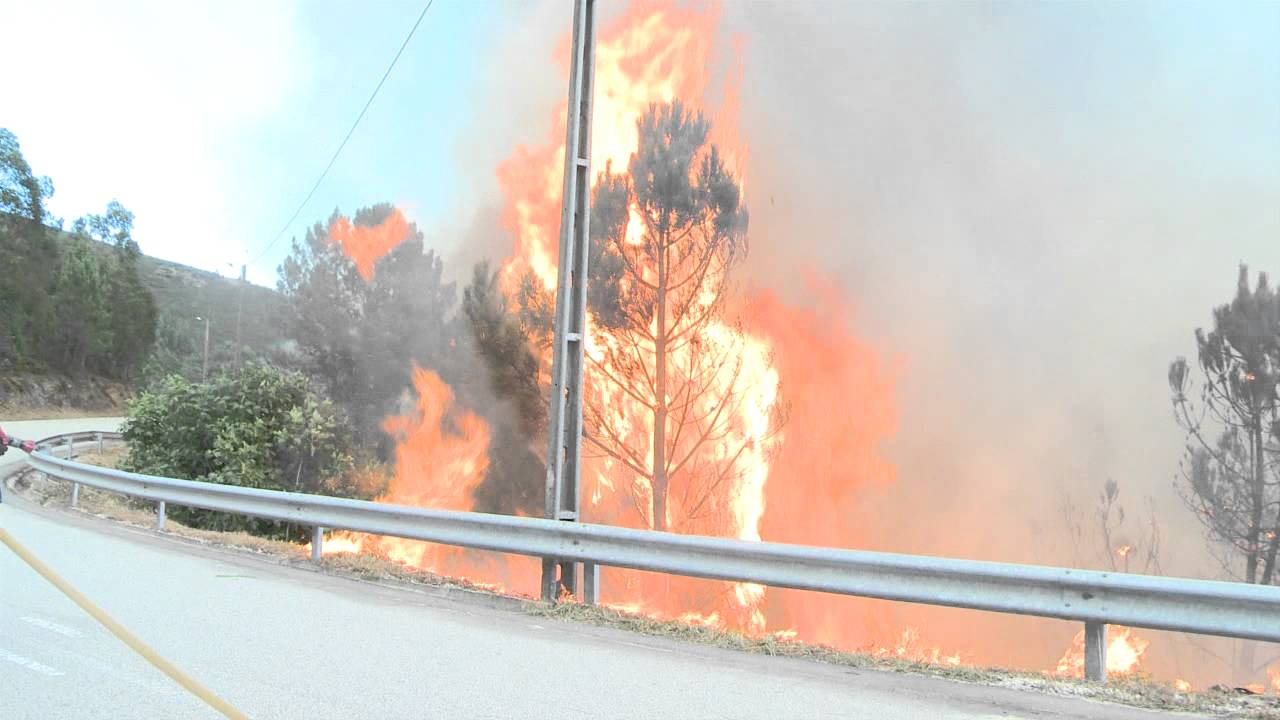 Fogo obriga à evacuação de quatro aldeias no concelho de Góis