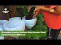 Preparing Growing Medium Using Banana Stem | Simple Gardening Method